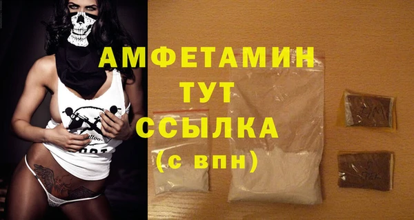 стаф Балахна
