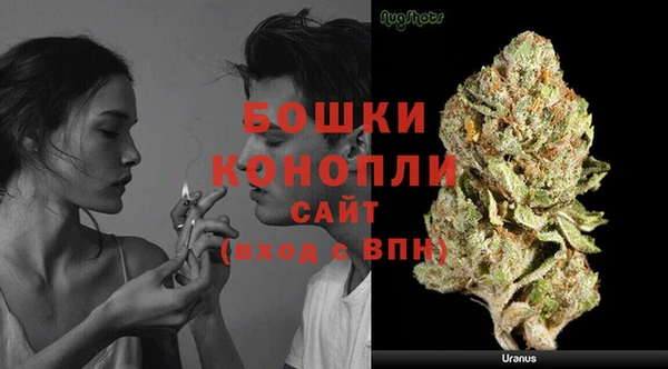 стаф Балахна